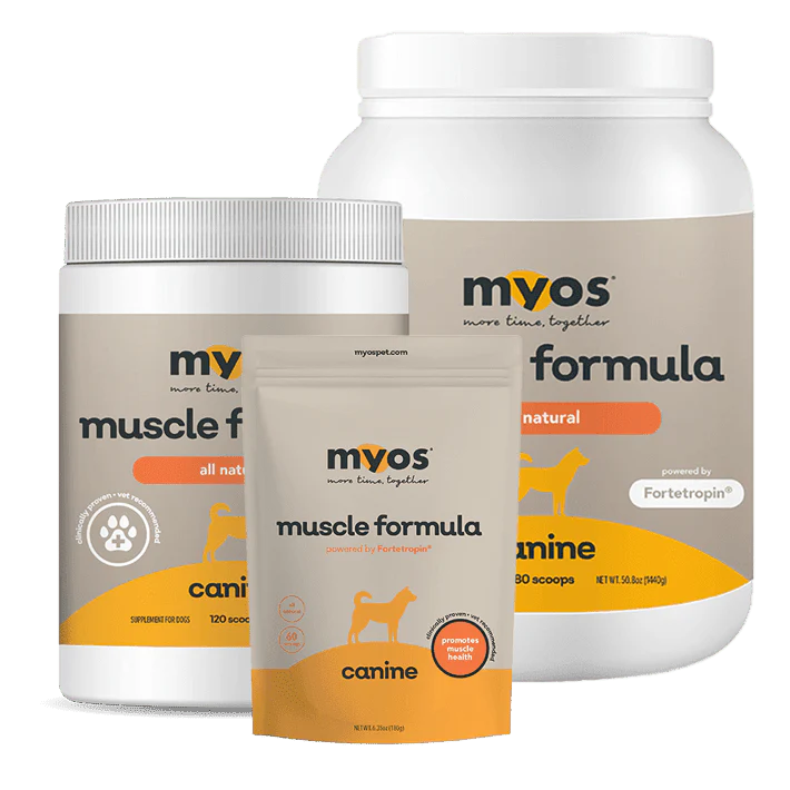 MYOS Canine Muscle Formula powered by Fortetropin® - Image 2