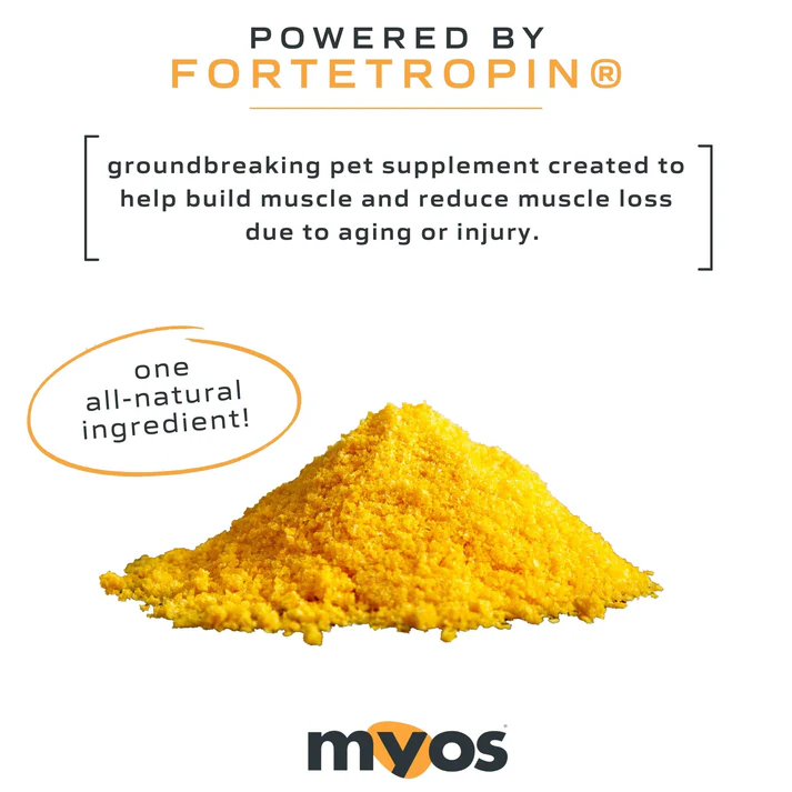 MYOS Canine Muscle Formula powered by Fortetropin® - Image 6